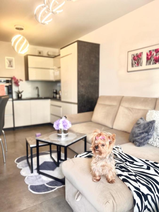 Downtownapartments Andy Air-Conditioned, Underground Parking Available Rzeszow Dış mekan fotoğraf